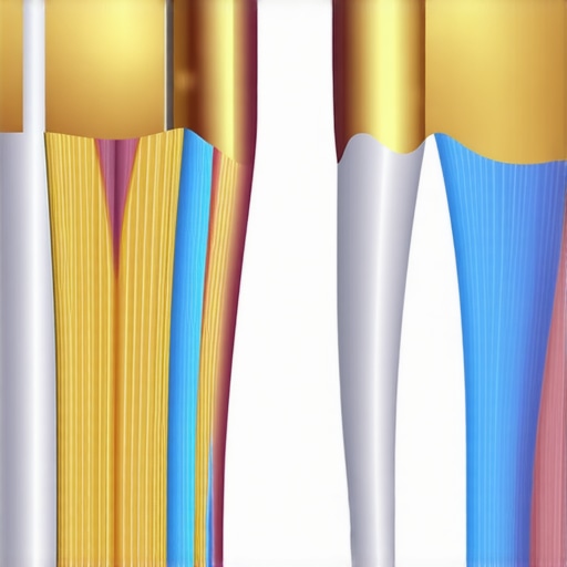 The Aesthetic vs Functional Zones of the Mouth Diagram showing front teeth for aesthetics and back molars for chewing strength.